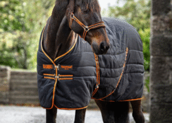 Untitled design (14)